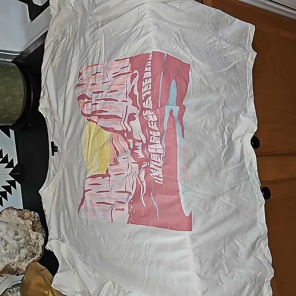 Torrid size 3 3x zion desert vibe graphic tee